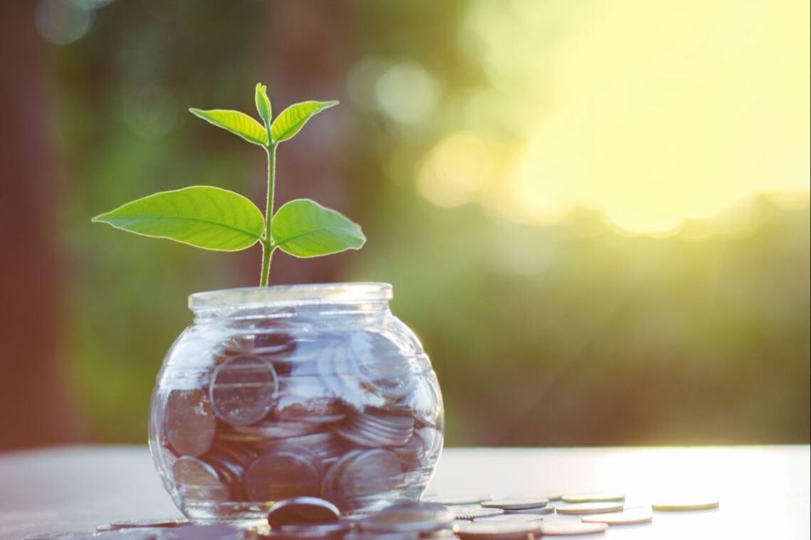 Imagem referente à notícia: ESG: conheça o critério que guia investimentos com foco em sustentabilidade